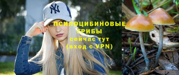 гидра Беломорск